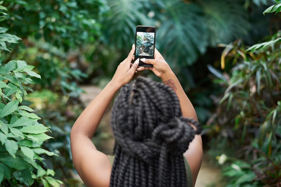 Plant Care and Identification App: Smart Tools for Plants