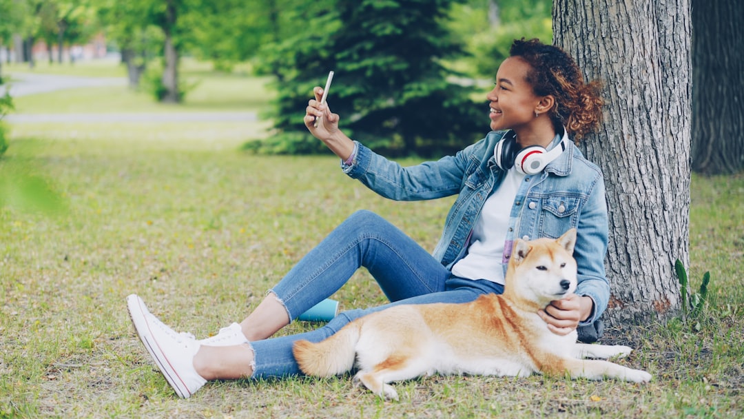 Pet Care App: Essential Features and Benefits for Owners